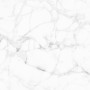 Patterned --and-- Statement White Medium Format 260x410 - 595x595 Porcelain for Wall/Floor; Finish - Natural